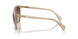 580213 - Brown - Gradient Brown