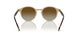 W900T5 - Brown - Polar Brown Gradient