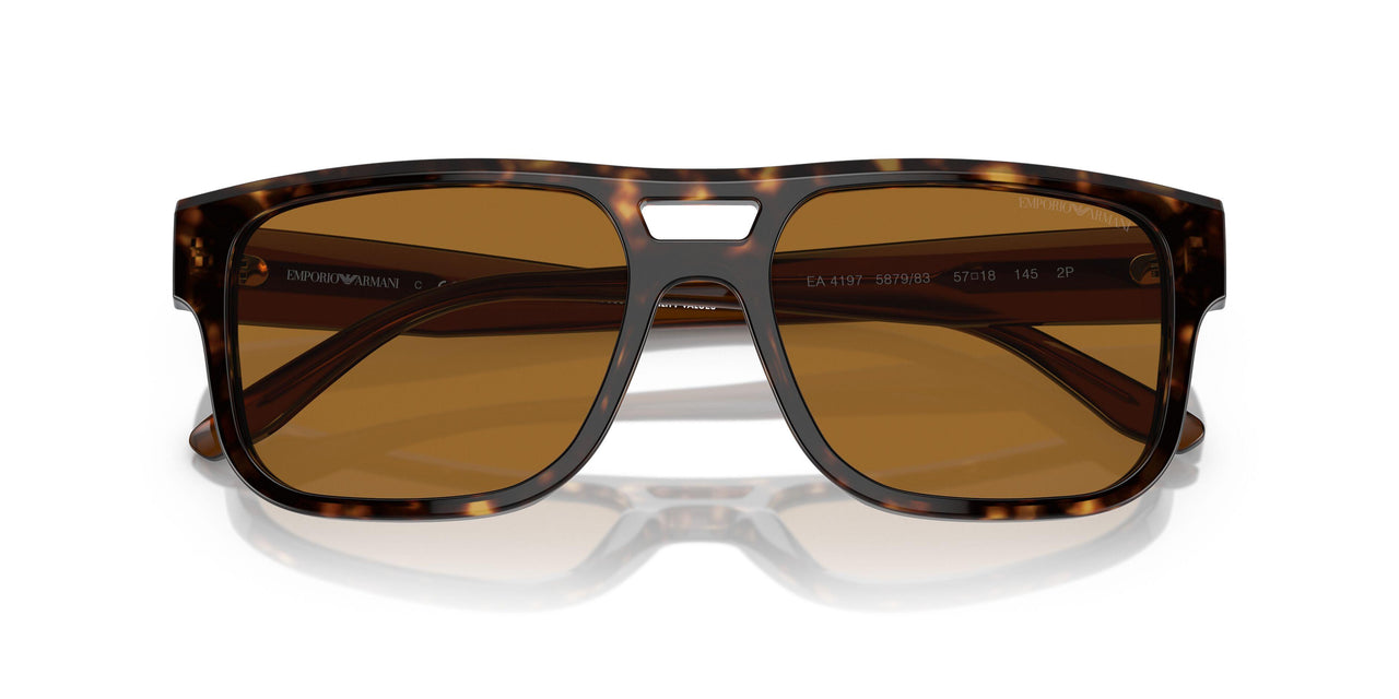 587983 - Tortoise - Brown Polarized