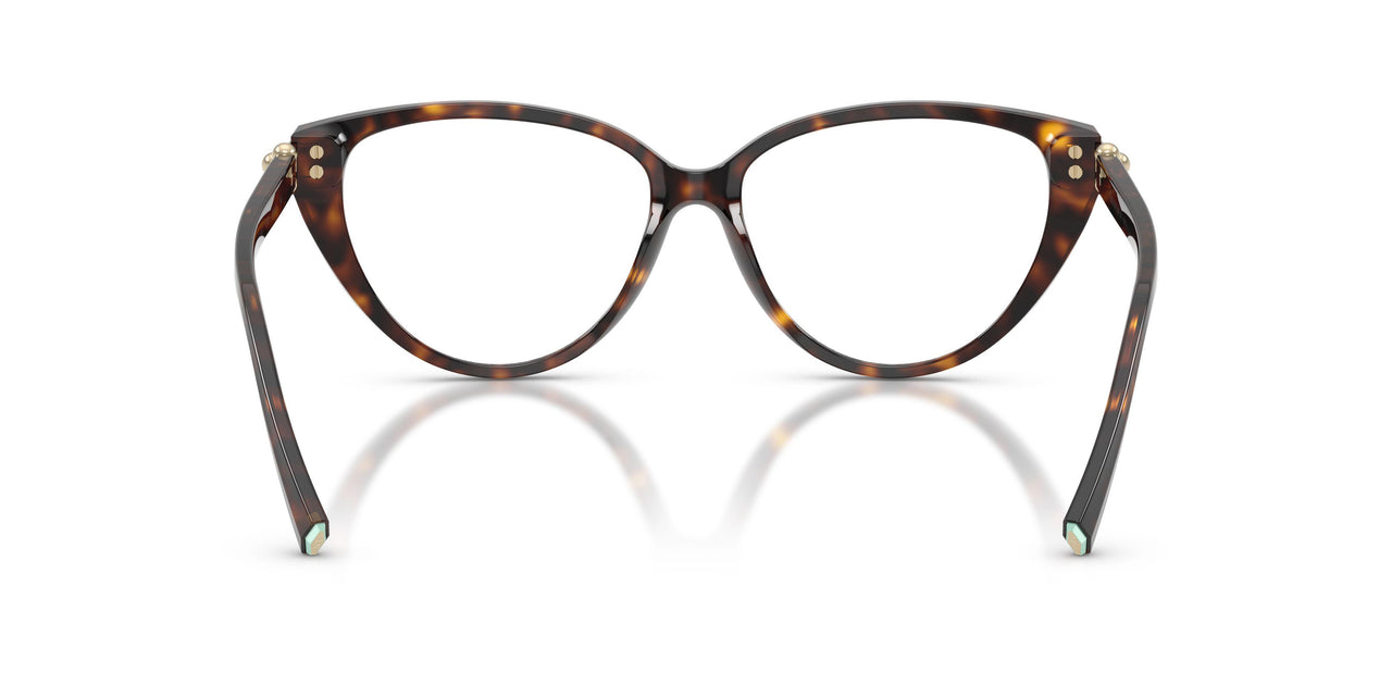8015 - Tortoise