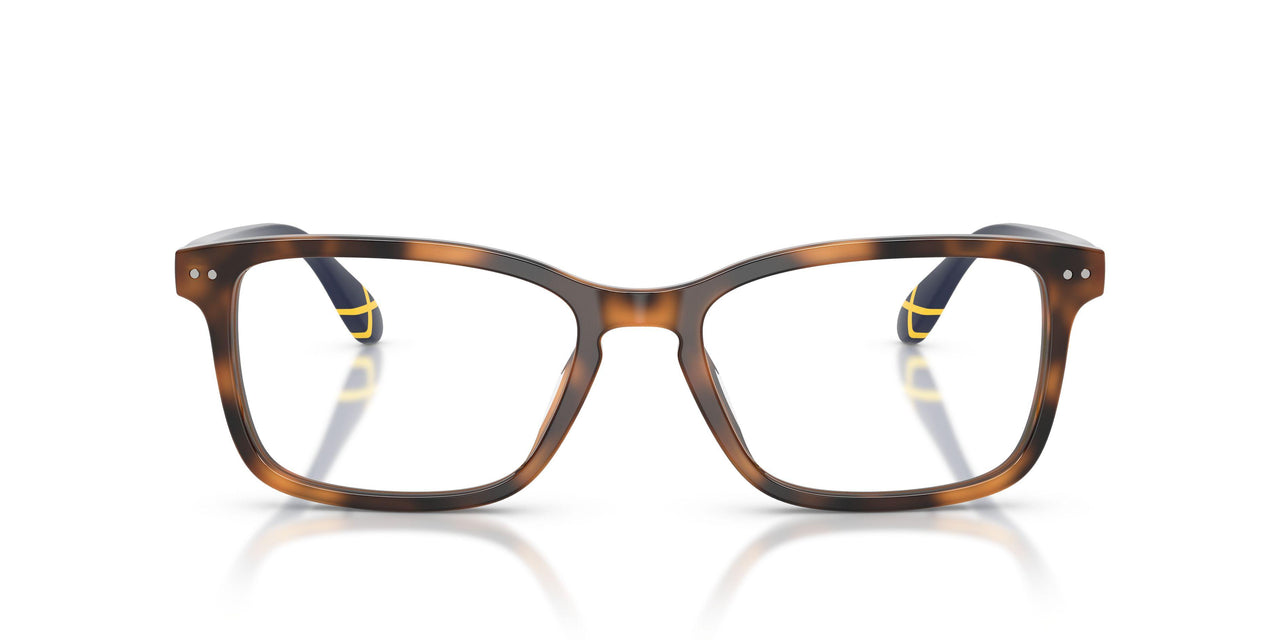 6089 - Tortoise
