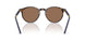 500373 - Tortoise - Brown