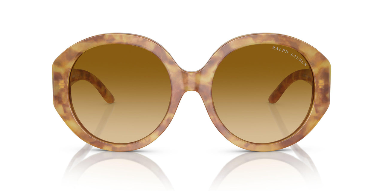60832L - Tortoise - Gradient Yellow