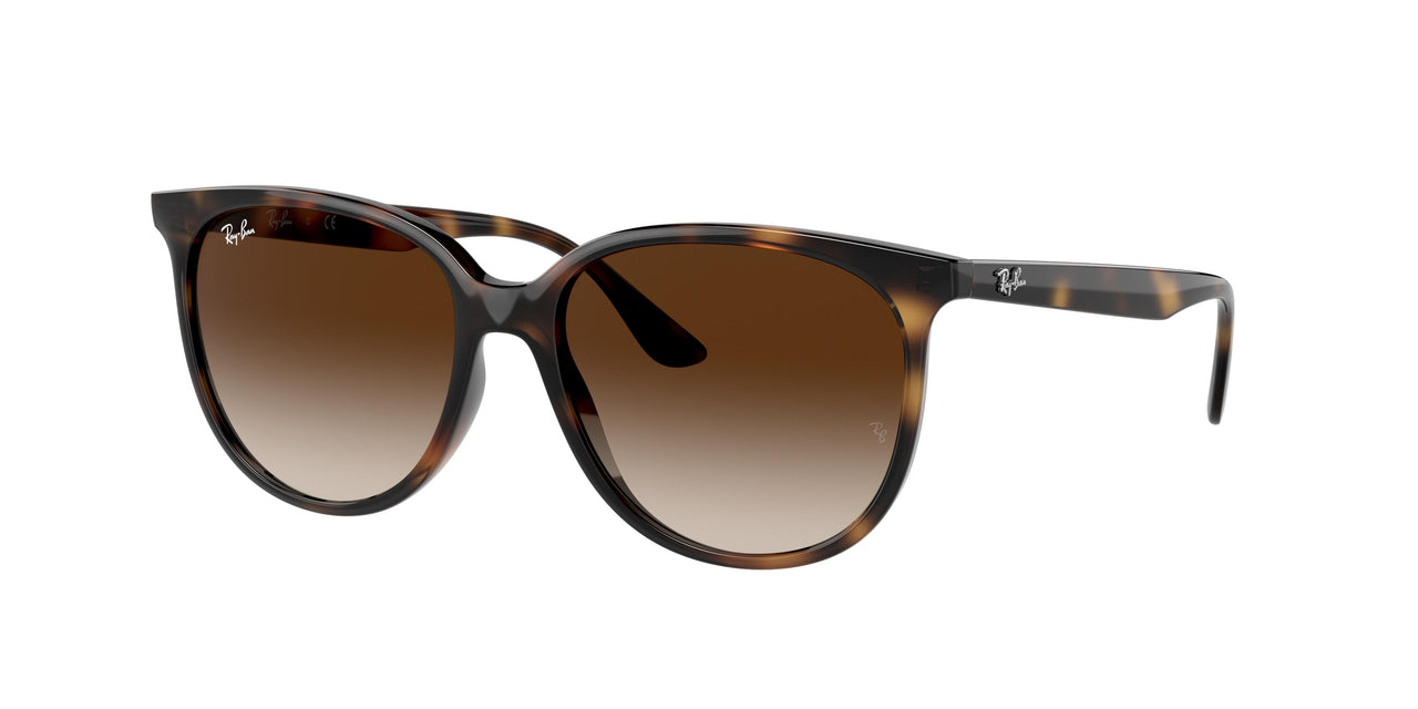 Ray-Ban 4378 Sunglasses