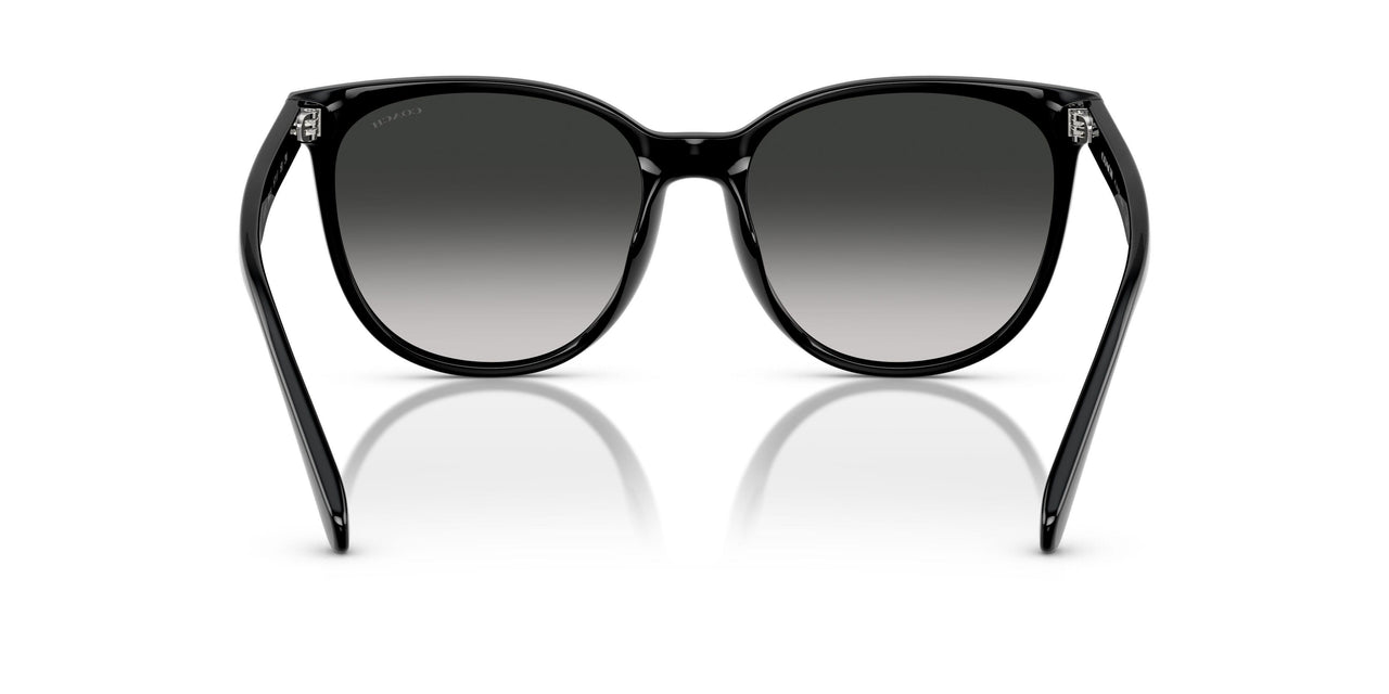 50023C - Black - Grey Gradient