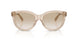 844511 - Brown - Neutral Gradient Light Grey