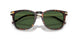 500371 - Brown - Bottle Green