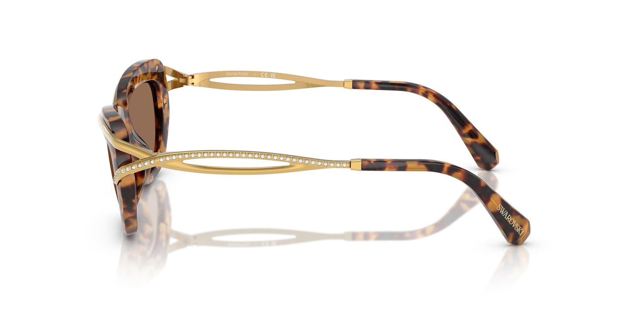 403573 - Tortoise - Dark Brown