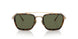 801358 - Gold - Green Polar
