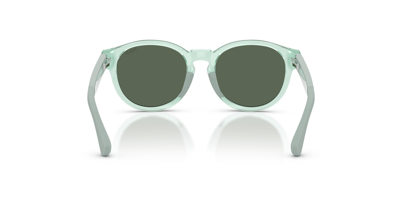636771 - Green - Dark Green