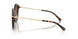 30063G - Tortoise - Dark Brown Solid
