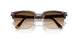 24/51 - Tortoise - Gradient Brown
