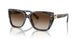 395213 - Bright Blue Tortoise - Brown Gradient