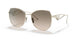 ZVN3D0 - Gold - Light Brown Grad Light Grey