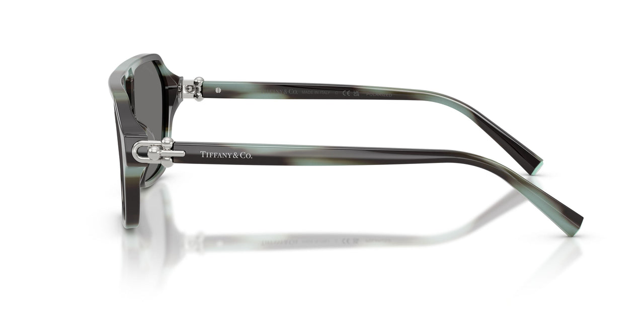 844381 - Tortoise - Dark Grey Polar