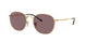001/AF - Gold - Dark Violet Polar
