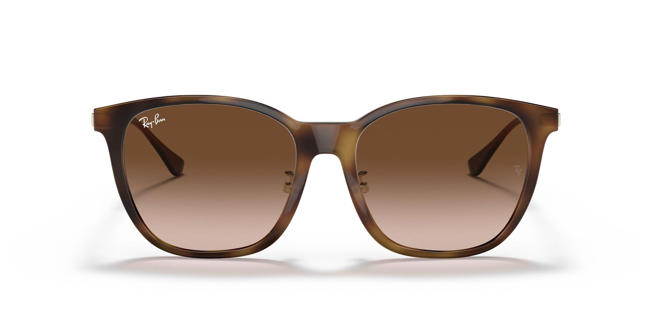 710/13 - Tortoise - Brown Gradient Dark Brown