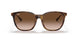 710/13 - Tortoise - Brown Gradient Dark Brown