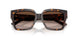 500213 - Tortoise - Gradient Brown