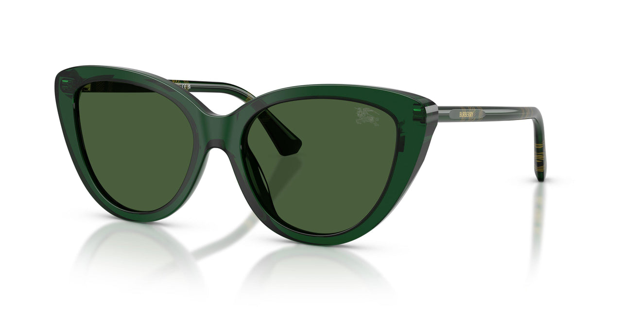 416271 - Green - Dark Green