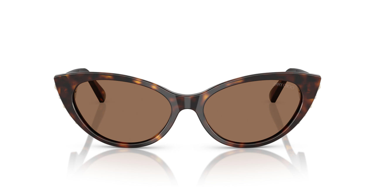 500273 - Tortoise - Dark Brown