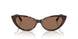 500273 - Tortoise - Dark Brown