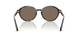 623573 - Tortoise - Brown