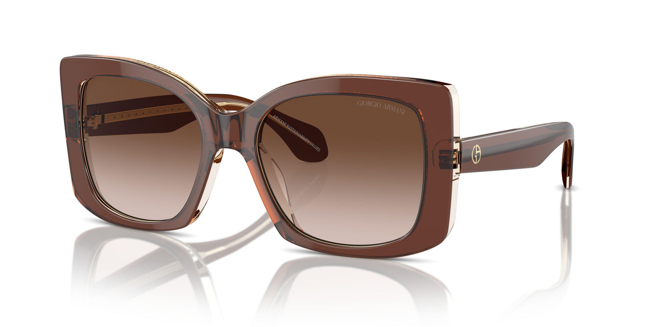 609013 - Brown - Brown Gradient