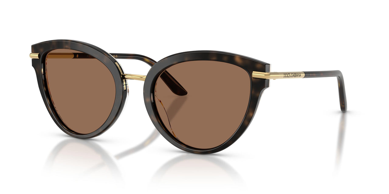 321713 - Tortoise - Dark Brown