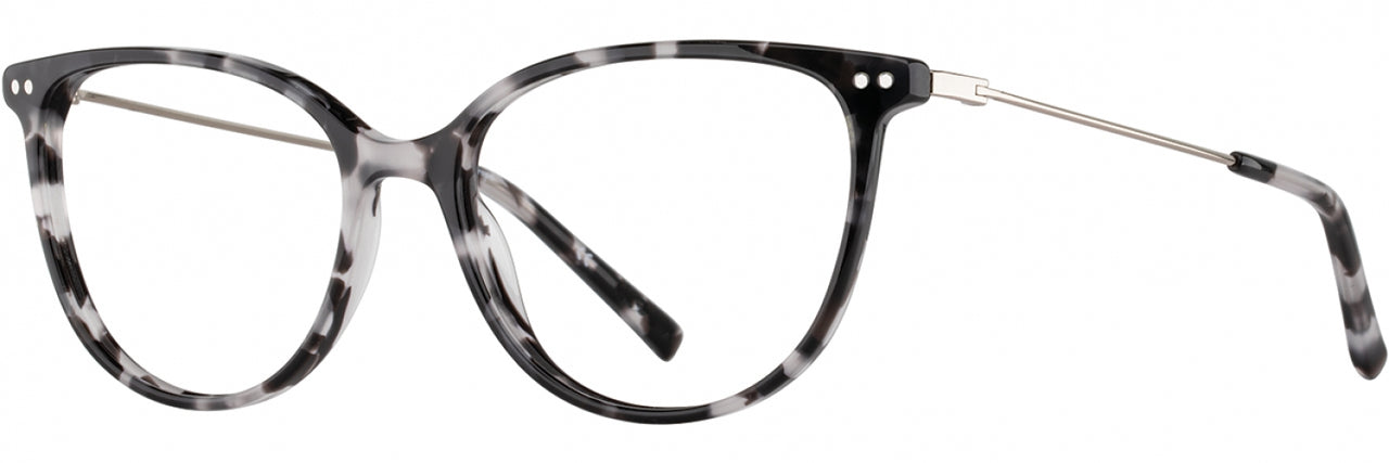 3 - Black Tortoise / Chrome