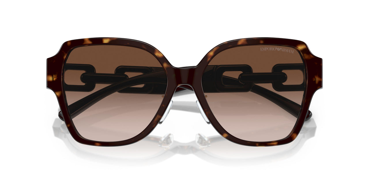 502613 - Tortoise - Gradient Brown