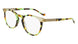 Pure P 6001 Eyeglasses