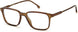 Carrera 213 Eyeglasses