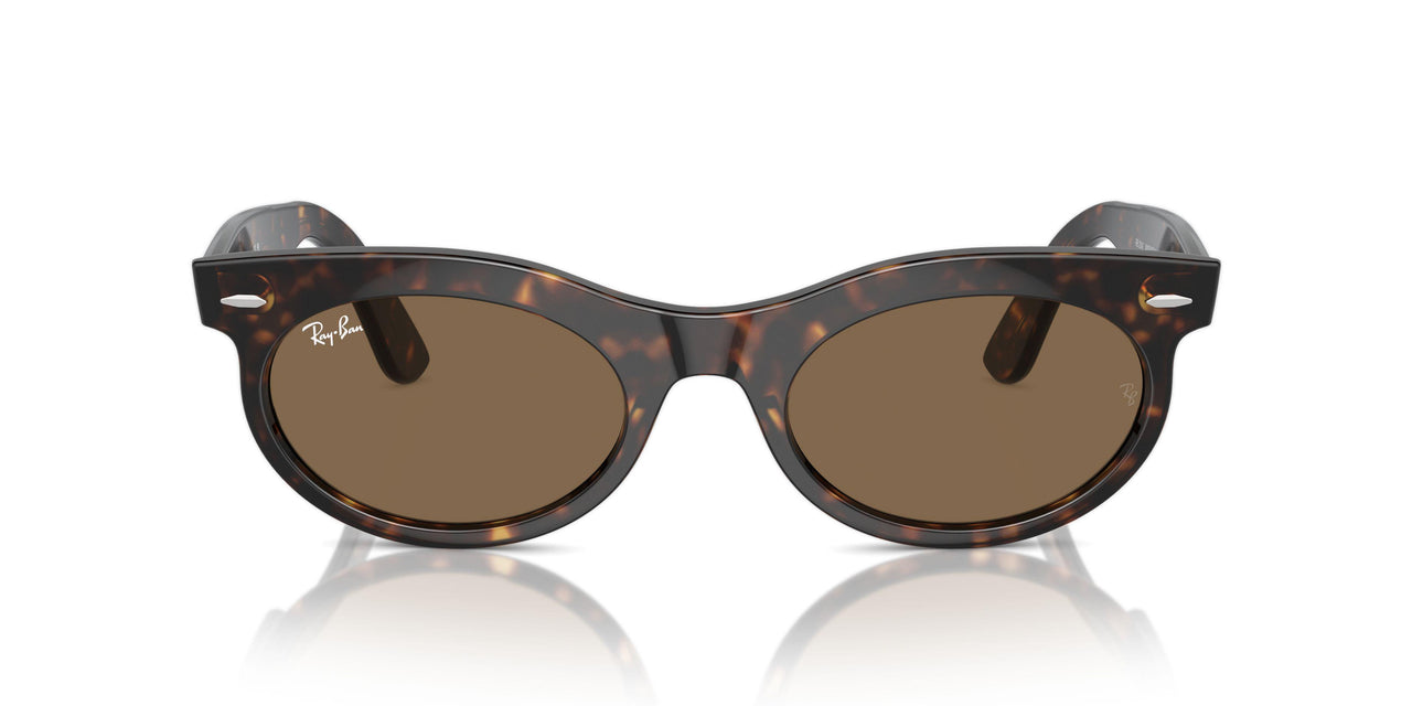 902/GI - Tortoise - Clear/brown