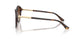 500213 - Tortoise - Gradient Brown
