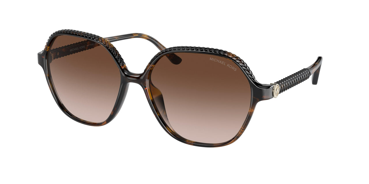 300613 - Tortoise - Brown Gradient
