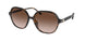 300613 - Tortoise - Brown Gradient