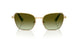 4004E8 - Gold - Green Gradient Brown