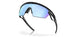 940305 - Black - Prizm Deep Water Polarized