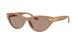 Ferrari 2020U Sunglasses