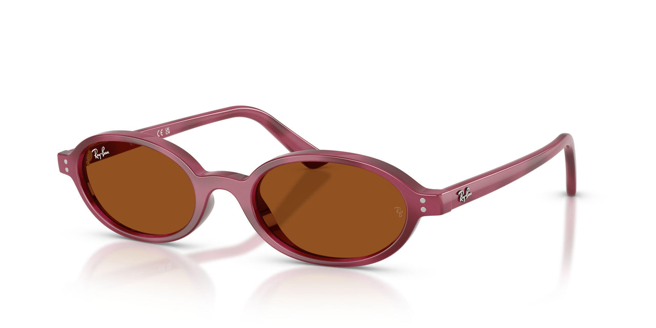 685773 - Violet - Dark Brown