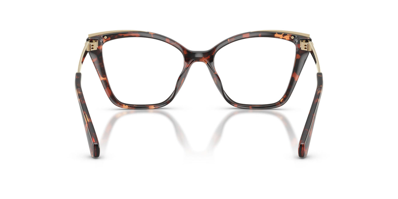4031 - Tortoise