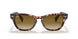 954/57 - Striped Havana - Polar Brown