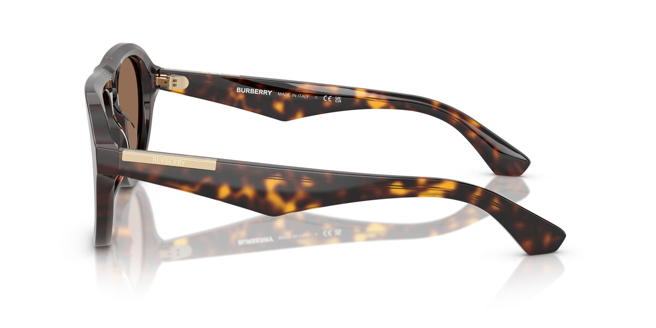 300273 - Brown - Dark Brown