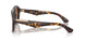 300273 - Brown - Dark Brown