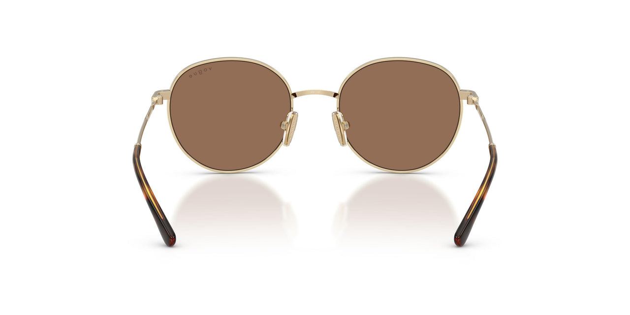 848/73 - Gold - Dark Brown