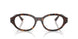 8320 - Tortoise - Clear
