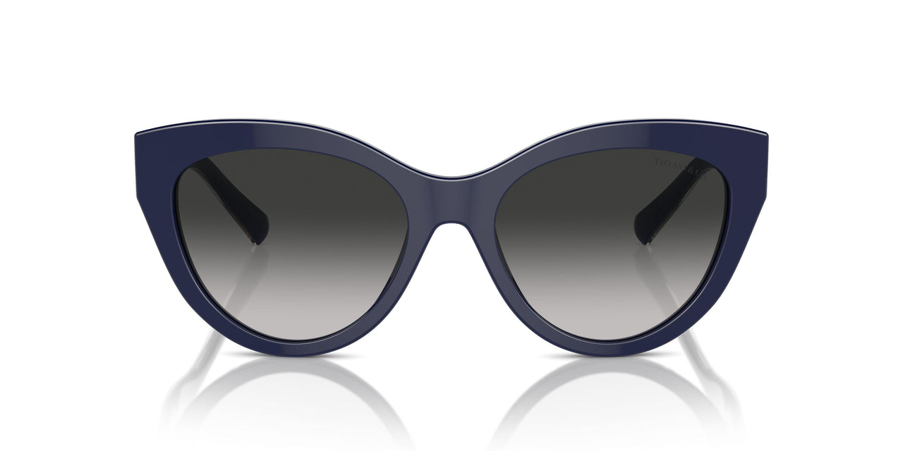 83963C - Blue - Grey Gradient