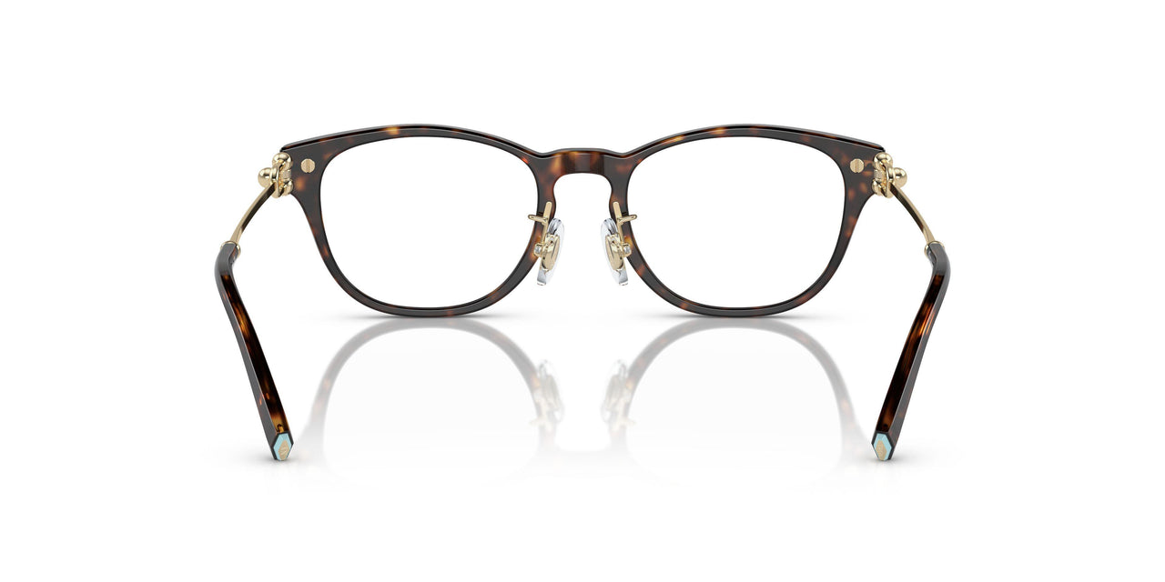8015 - Tortoise