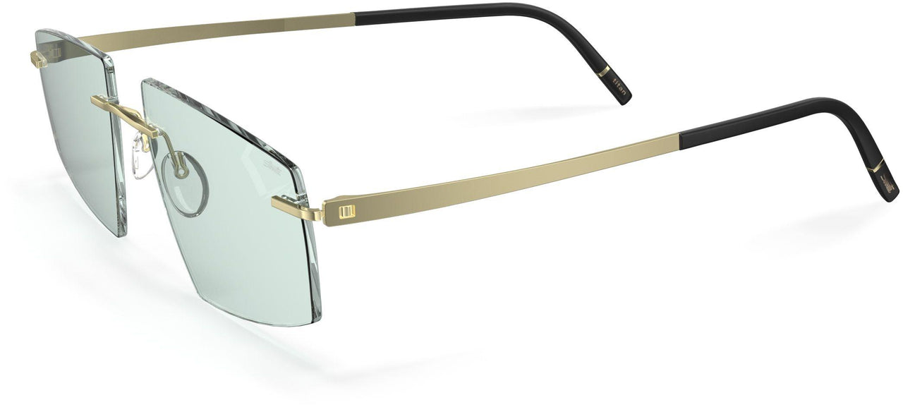 8540 - Champagne / Black - soft mint